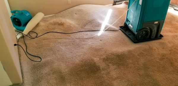 Carpet Water Extraction in Richmond